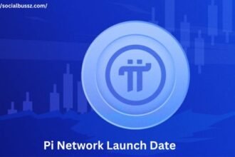 Pi network launch date